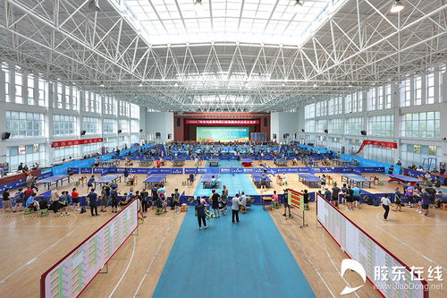 核力乒乓，共贏綠色未來 2024核能科普宣傳杯全民健身乒乓球大獎賽圓滿落幕