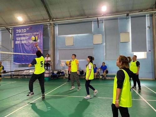 中關村街道積極參與2020年全民健身日活動 科技服務與氣排球賽的活力交響