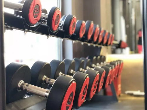 脂肪險走下熒幕來到吳江 當全民健身遇見科技服務