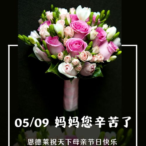 以愛之名，為母親撐起自由行走的天空——恩德萊石家莊公司致敬天下母親